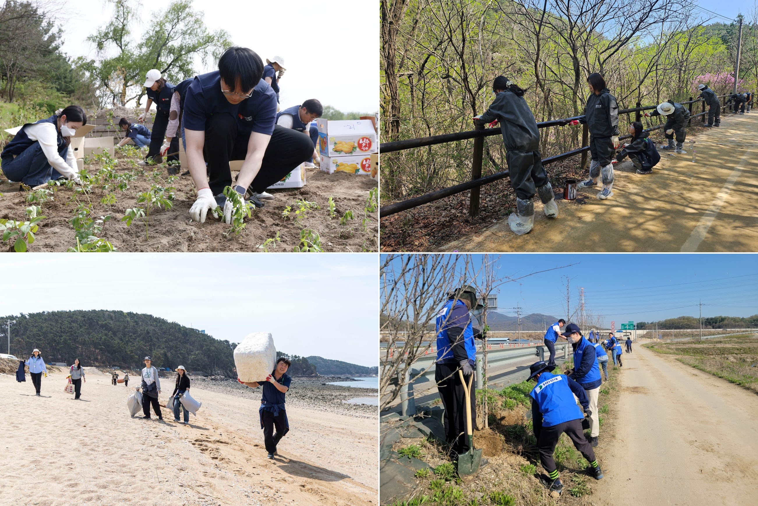 Global Volunteer Week activities in 2026
